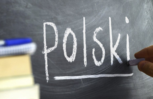 Kurs dla ósmoklasity - język polski