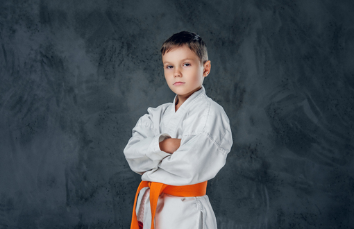 Karate - sztuki walki - SZKOŁA COGITO