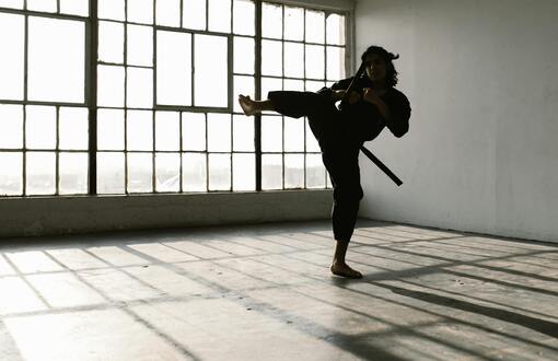 Aikido - Scholasticus