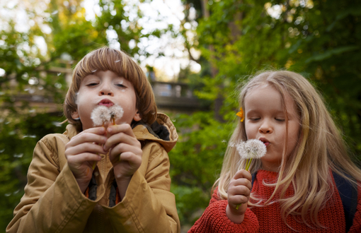 Logopedia na wesoło z elementami logorytmiki