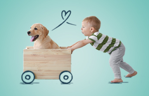 Mój przyjaciel pies